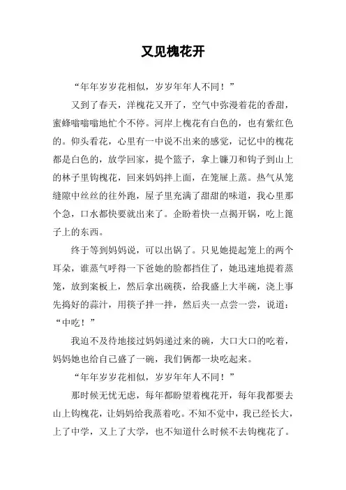 作文-又见槐花开