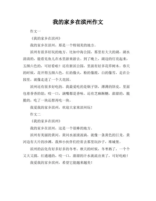 我的家乡在滨州作文