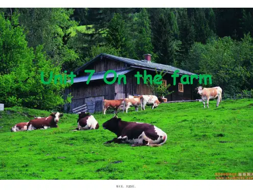 (译林版)三年级英语下册课件Unit7On-the-farm