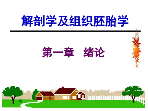 解剖学及组织胚胎学1绪论PPT课件