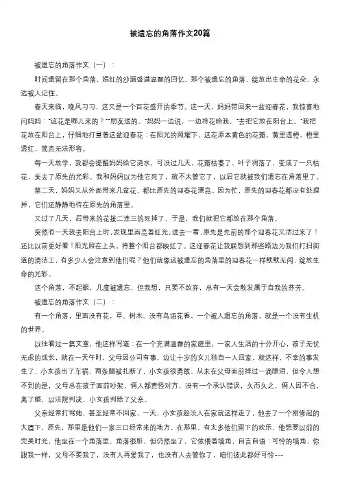 被遗忘的角落作文20篇