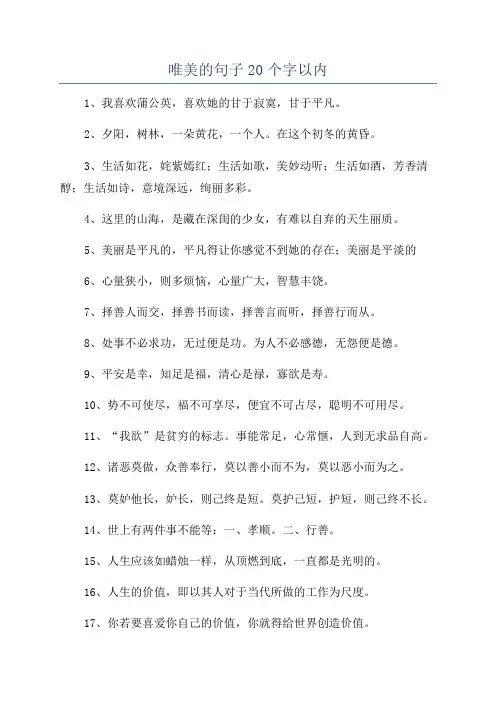 唯美的句子20个字以内