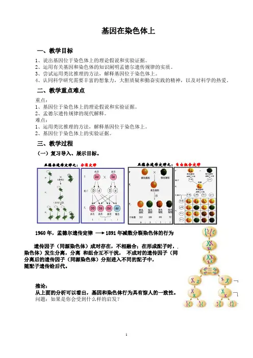 基因在染色体上 说课稿  教案  教学设计