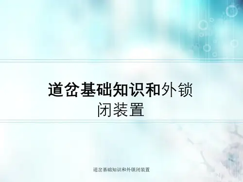 道岔基础知识与外锁闭装置