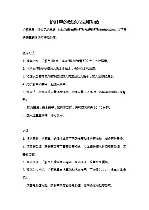 护肝草的煲汤方法和功效