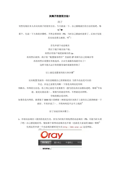 灰鸽子教程