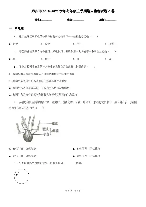郑州市2019-2020学年七年级上学期期末生物试题C卷