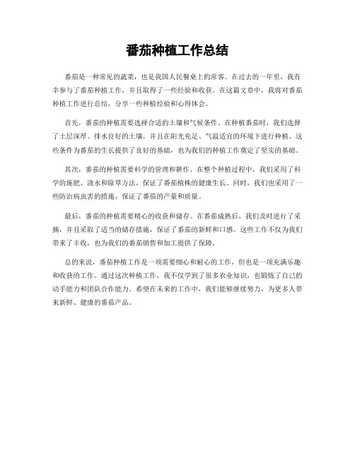 番茄种植工作总结