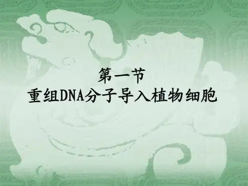 14 第十四讲(1) 目的基因导入受体细胞