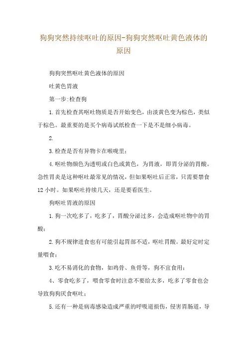 狗狗突然持续呕吐的原因-狗狗突然呕吐黄色液体的原因