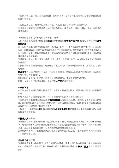 下丘脑