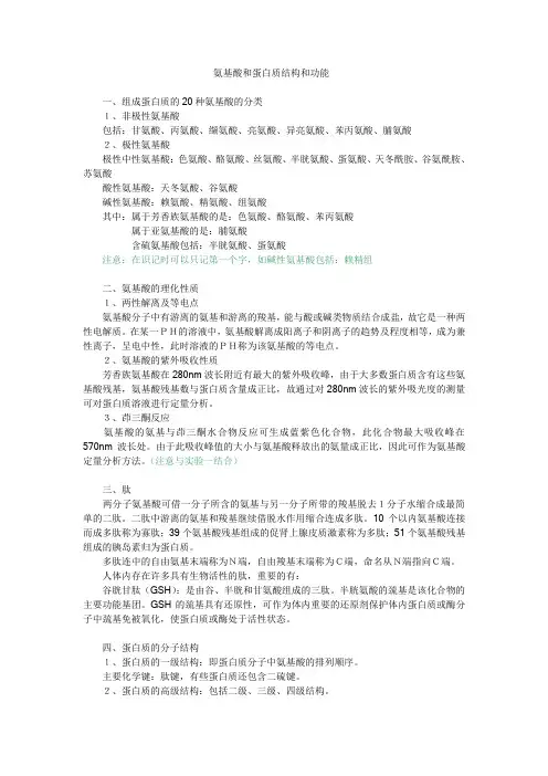 氨基酸和蛋白质结构和功能