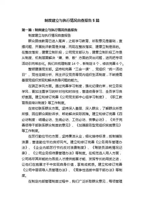 制度建立与执行情况自查报告5篇