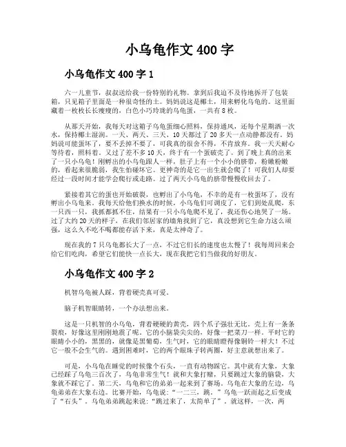 小乌龟作文400字