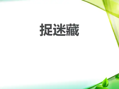 《捉迷藏》PPT