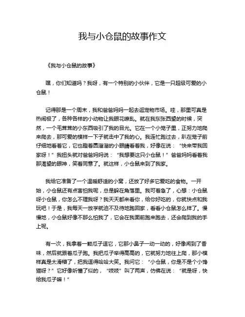 我与小仓鼠的故事作文