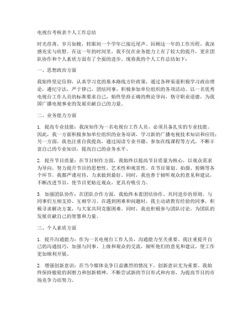 电视台考核表个人工作总结