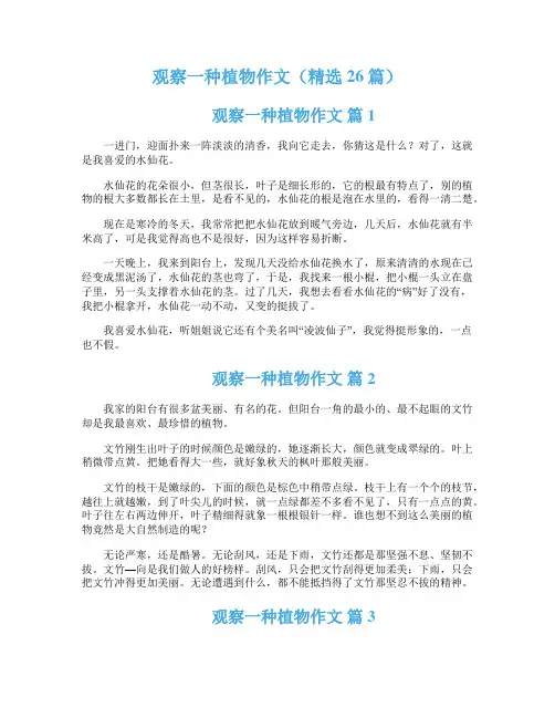 观察一种植物作文（精选26篇）