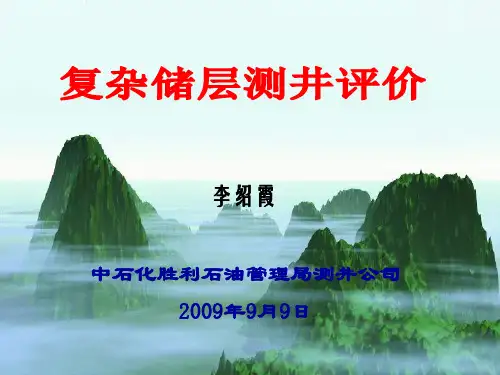 复杂储层测井评价(2)