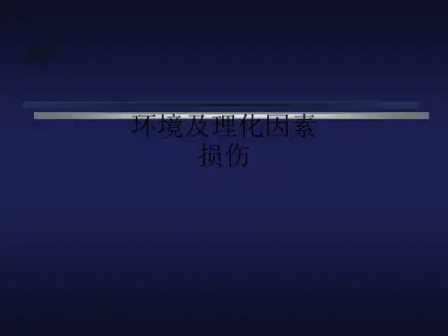 环境及理化因素损伤ppt课件