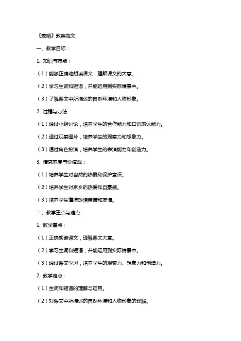 《麦哨》教案范文