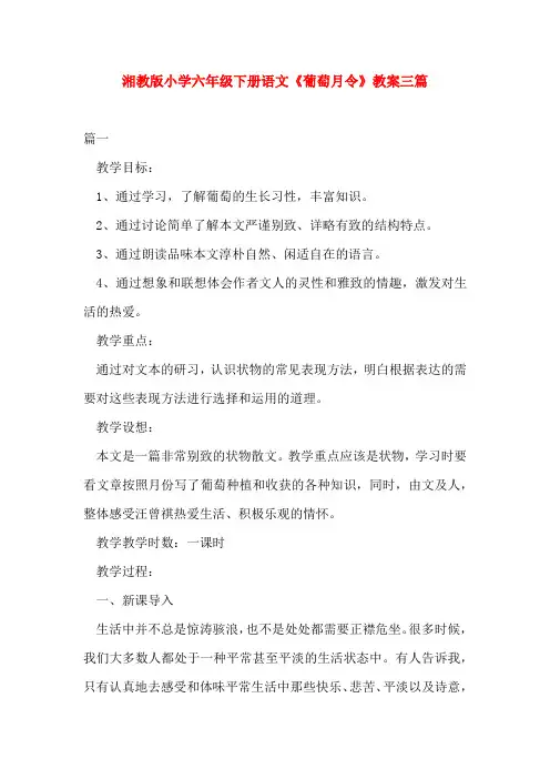 湘教版小学六年级下册语文《葡萄月令》教案三篇