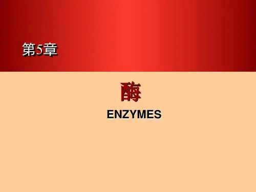 《食品生物化学》第5章酶