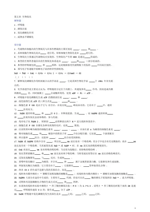 第五章 生物氧化(含答案)