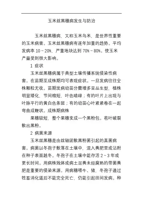 玉米丝黑穗病发生与防治