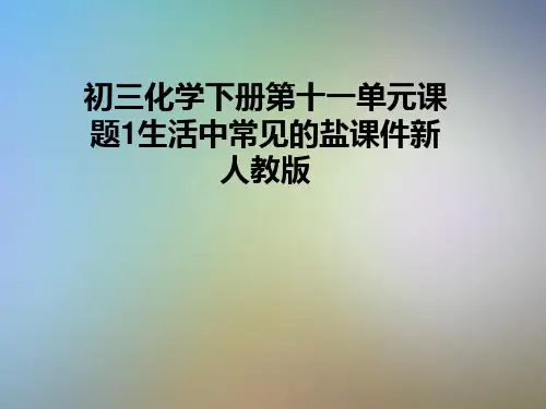 初三化学下册第十一单元课题1生活中常见的盐课件新人教版