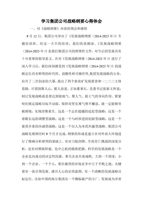 学习集团公司战略纲要心得体会.doc