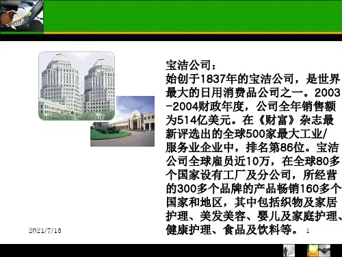 宝洁润妍客户品牌分析