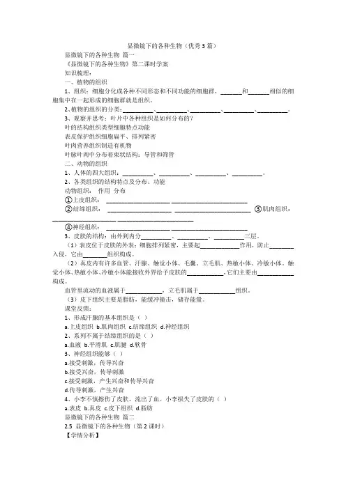 显微镜下的各种生物(优秀3篇)