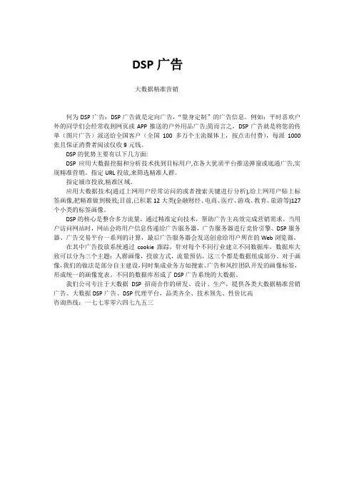 DSP大数据广告OEM贴牌招商
