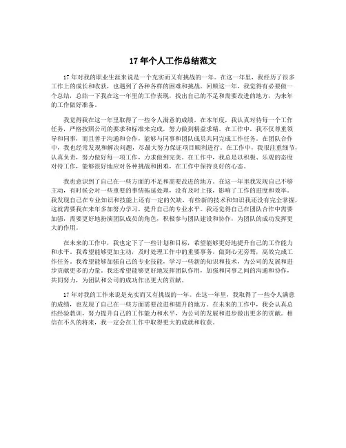 17年个人工作总结范文