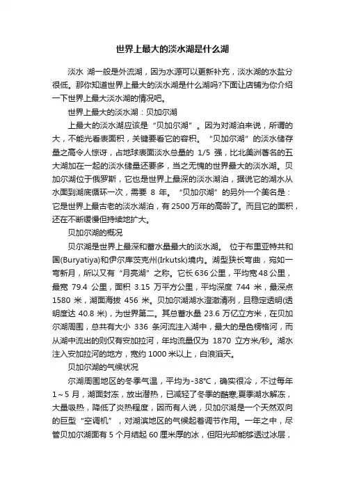 世界上最大的淡水湖是什么湖