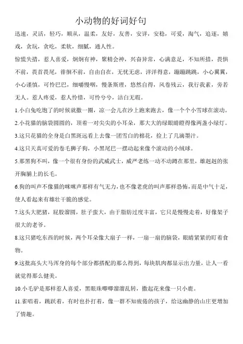 小动物的好词好句