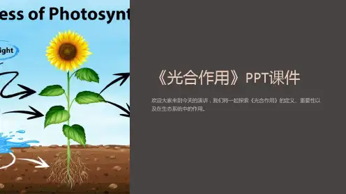 《光合作用》课件