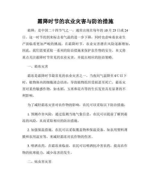 霜降时节的农业灾害与防治措施