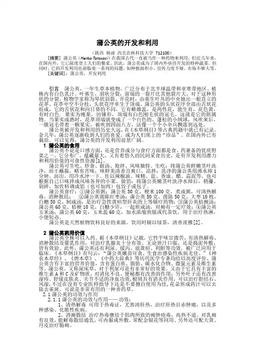 蒲公英的开发和利用