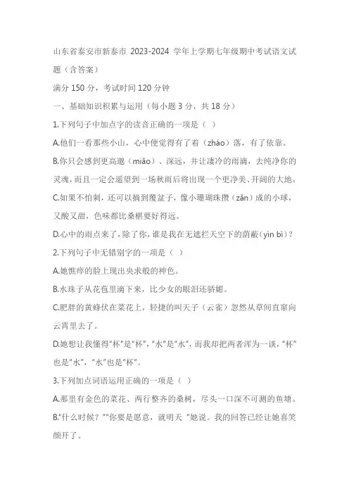 山东省泰安市新泰市2023-2024学年七年级上学期期中考试语文试题(含答案)