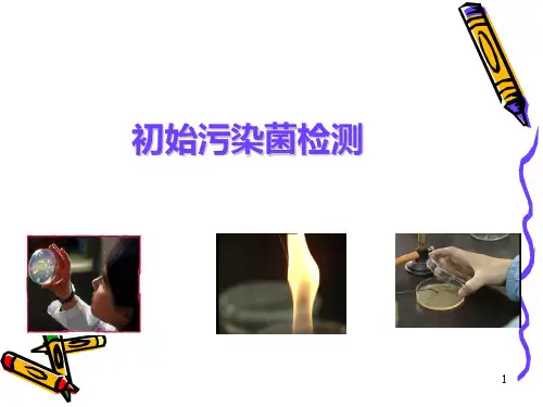 赵月琳初始污染检测
