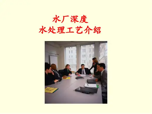 水厂深度水处理工艺介绍ppt