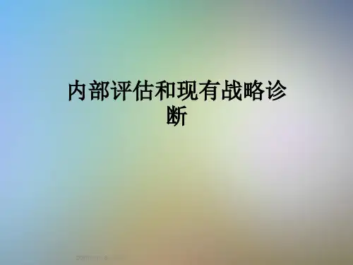 内部评估和现有战略诊断