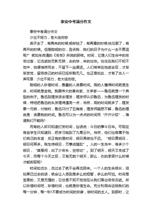 泰安中考满分作文