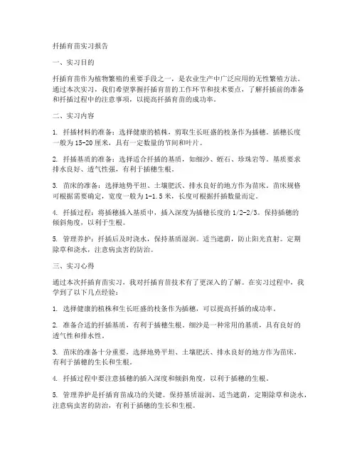扦插育苗实习报告
