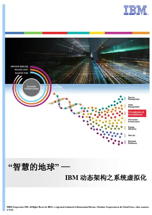 IBM动态架构之系统虚拟化