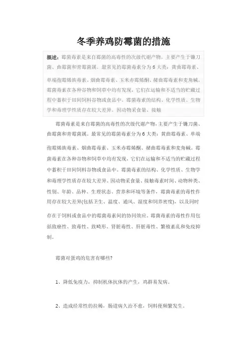 冬季养鸡防霉菌的措施