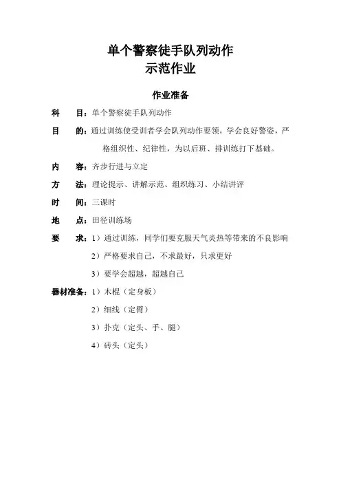 单个警察徒手队列动作