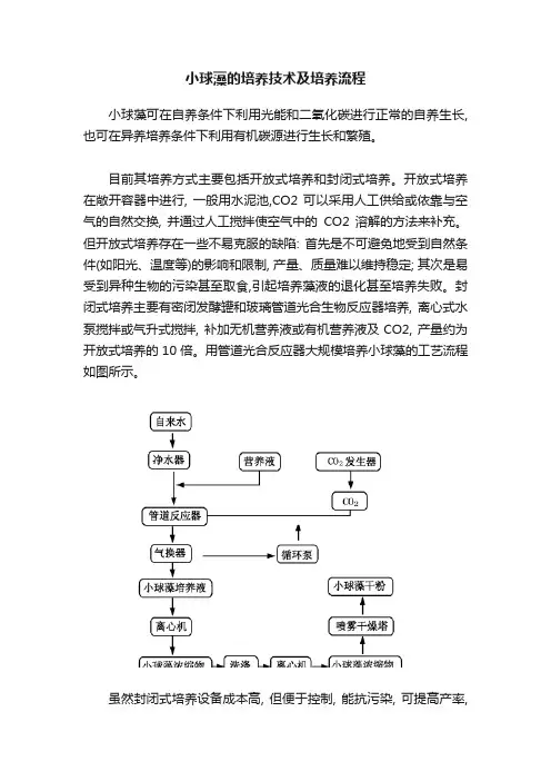 小球藻的培养技术及培养流程